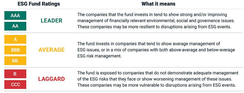 The MSCI ESG rating system